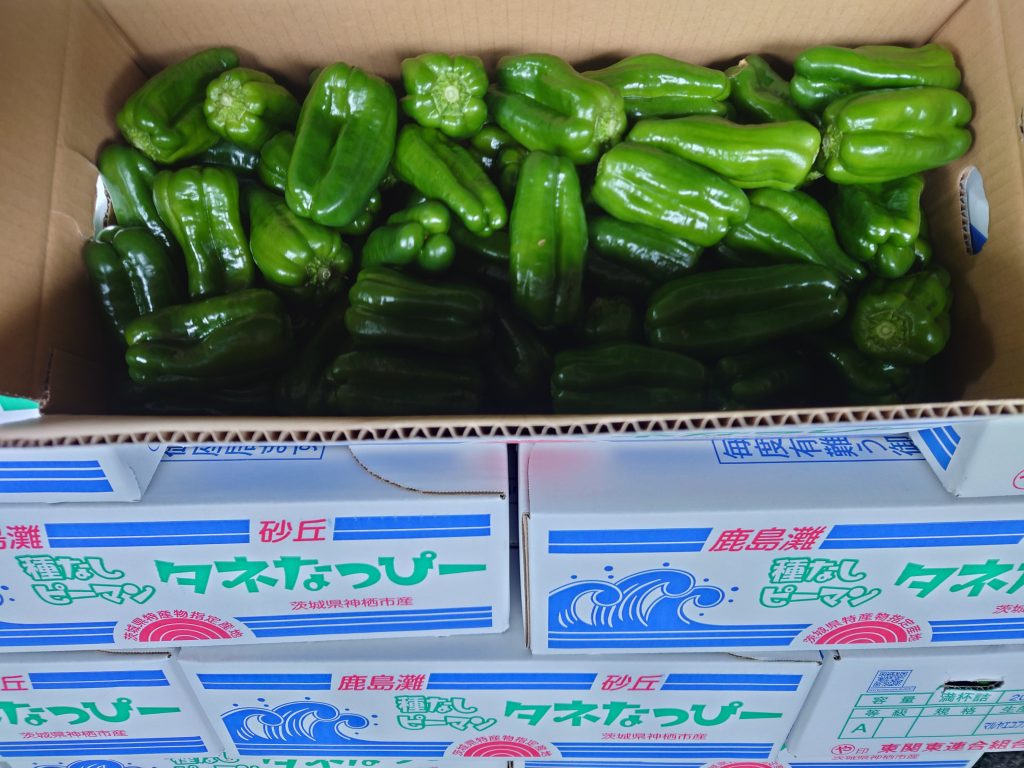 タネなっぴー出荷開始！ - 【ピーマン日本一】株式会社 丸や